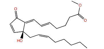 4-Deacetoxyl-12-O-deacetylclavulone II